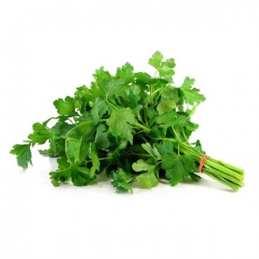 Salsa und